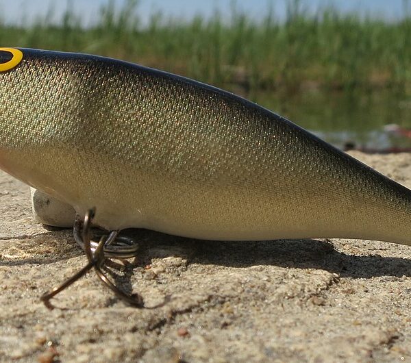 Mồi cá giả minnow nổi 9cm